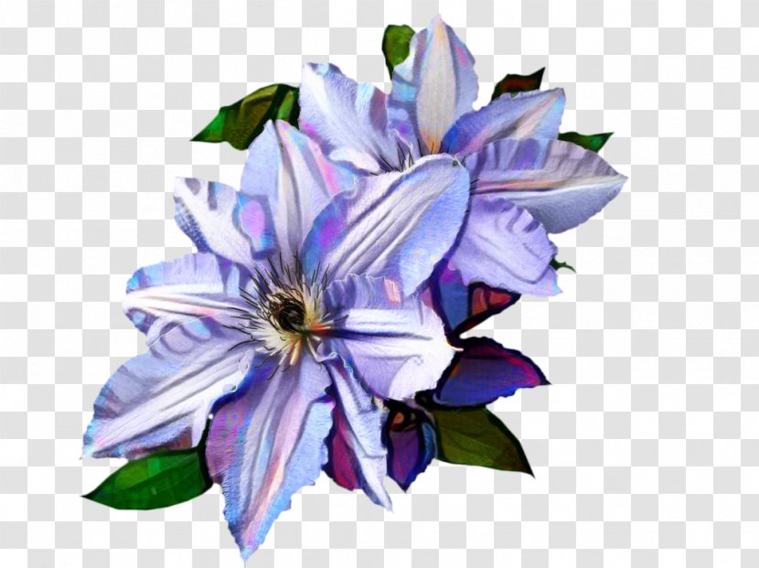 Leather Flower Lilac Blue - Violet Transparent PNG
