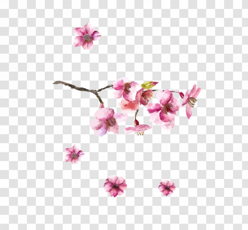Japanese Art Cherry Blossom Drawing - Flower Arranging - Hand-painted Transparent PNG
