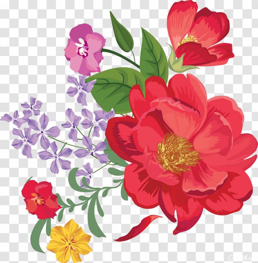 Cut Flowers Floral Design Clip Art - Rose Family - Flower Transparent PNG