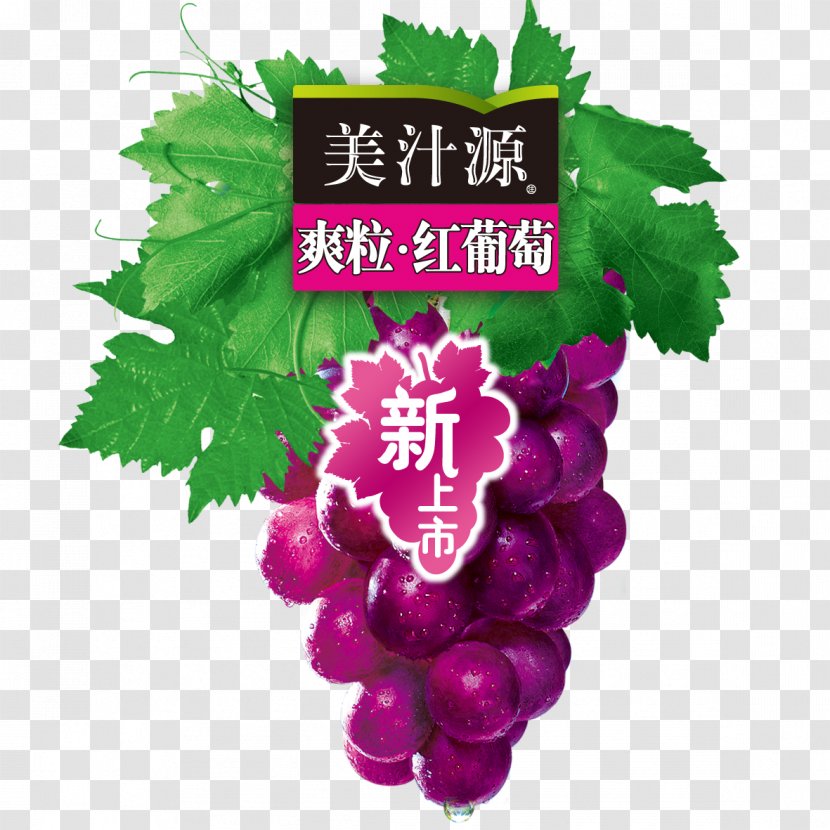 Its Grape Logo - Seed Extract - Auglis Transparent PNG
