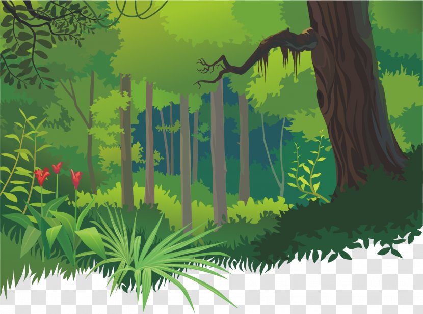 Cartoon Tropical Forests - Art - Ecosystem Transparent PNG
