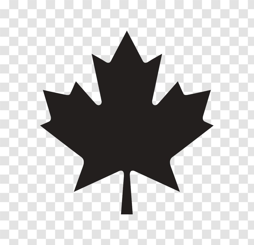 Manitoba Colony Of New Brunswick Relocation Maple Leaf Sales - Stock Photography - Bear Canadian School Trivandrum Technopark Transparent PNG
