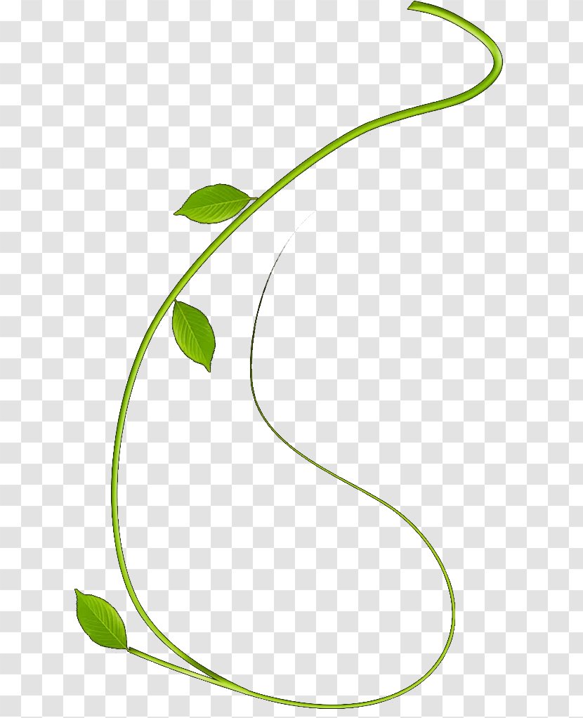 Image Green Leaf Download - Plant - Osier Transparent PNG