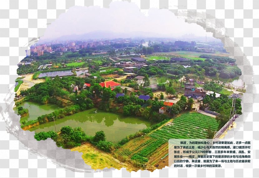 Urban Design Hill Station Water Resources Tree Bird's-eye View - Area - Huang Transparent PNG