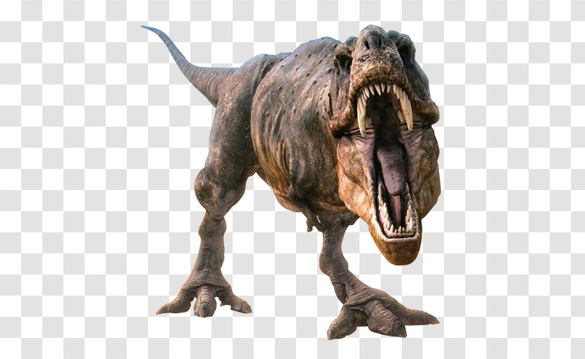 Tyrannosaurus Velociraptor Dinosaur - Proa Valdearinnoensis - Animals Transparent PNG