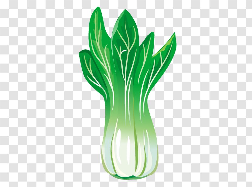 Chinese Cabbage Leaf Vegetable Transparent PNG