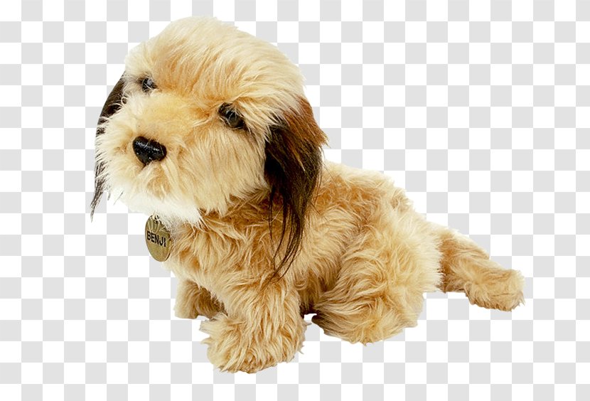 Puppy Cockapoo Dog Breed Poodle Schnoodle - Group Transparent PNG