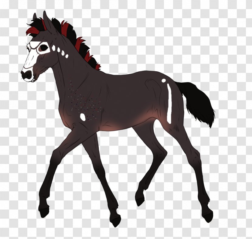 Mustang Pony Foal Stallion Colt Transparent PNG