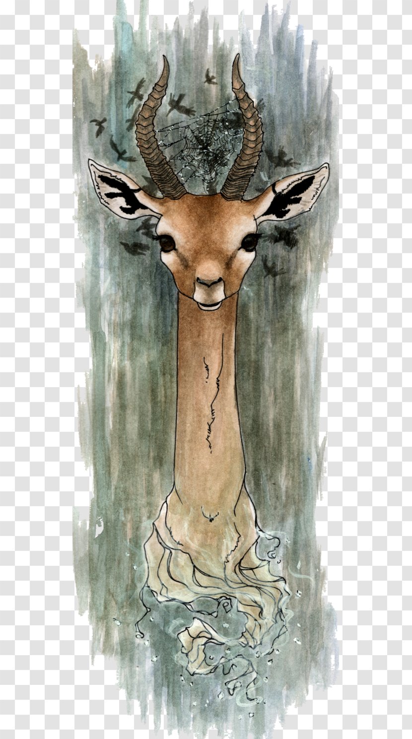 Giraffe Elk Kudu Antler - Organism Transparent PNG