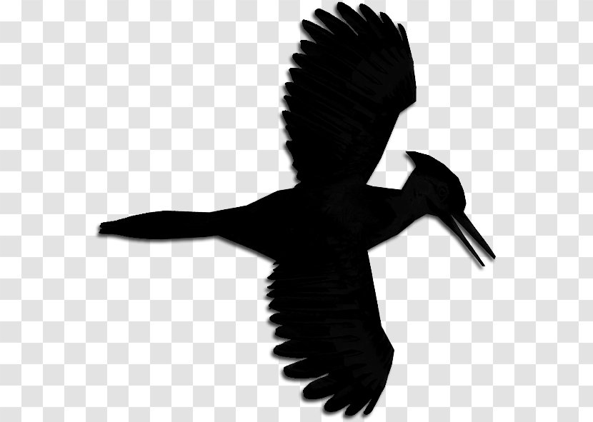 Swans Beak Goose Bird Duck - Silhouette Transparent PNG