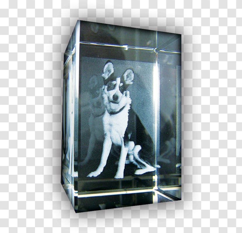 Glass Picture Frames Transparent PNG