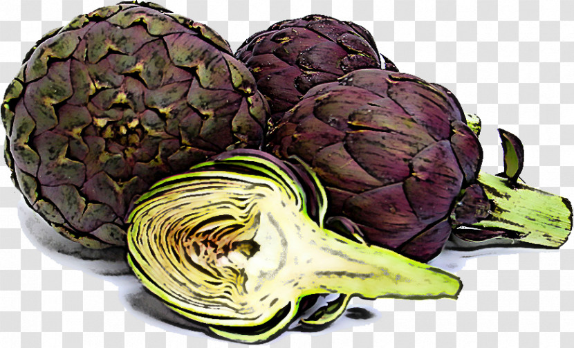Artichoke Vegetable Food Cynara Cabbage Transparent PNG
