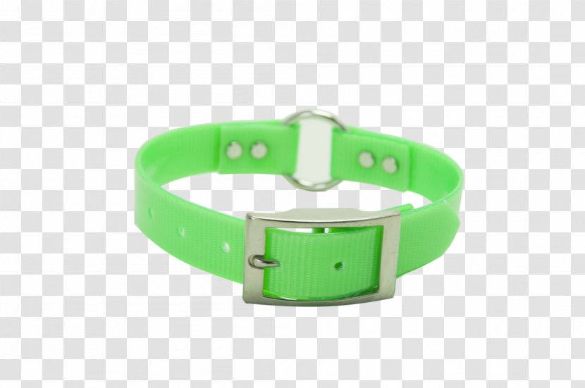 Dog Collar Watch Strap Transparent PNG