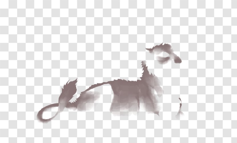 Kitten Whiskers White Wildlife Font Transparent PNG