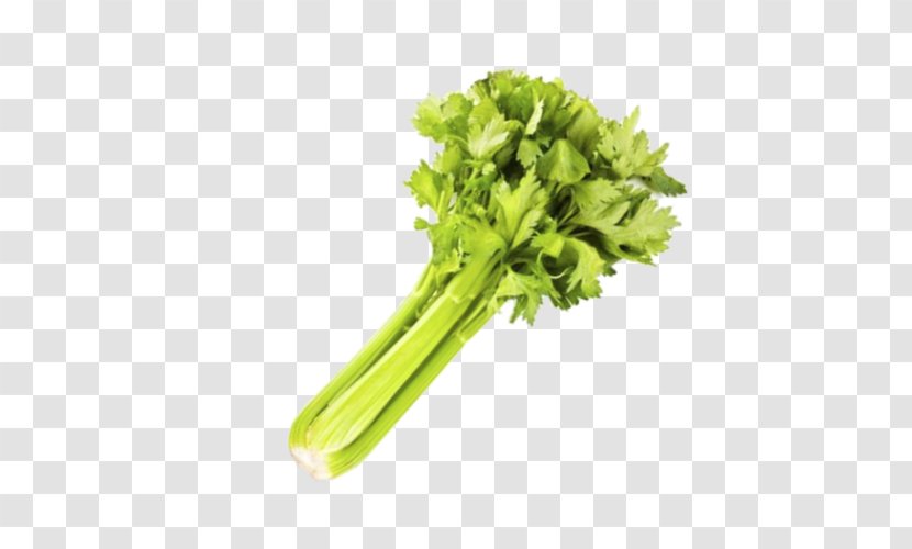 Spring Greens Water Celery Vegetable Transparent PNG