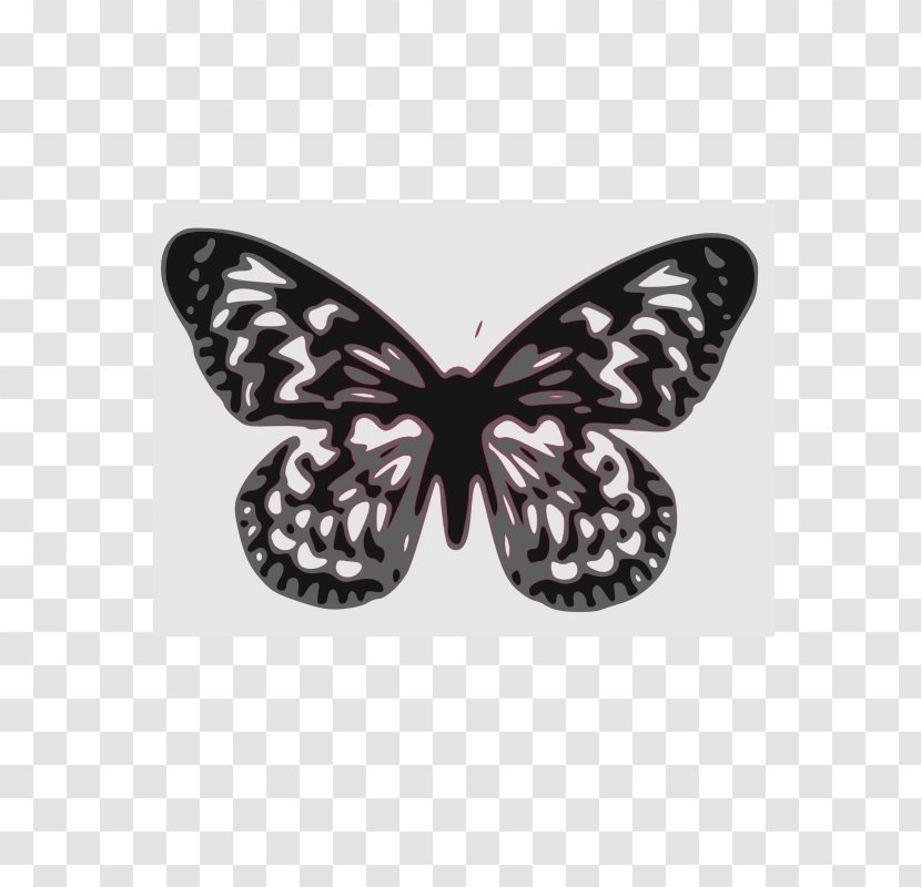 Monarch Butterfly Papillon Dog Clip Art - Black And White - Vector Decorative Pine Transparent PNG