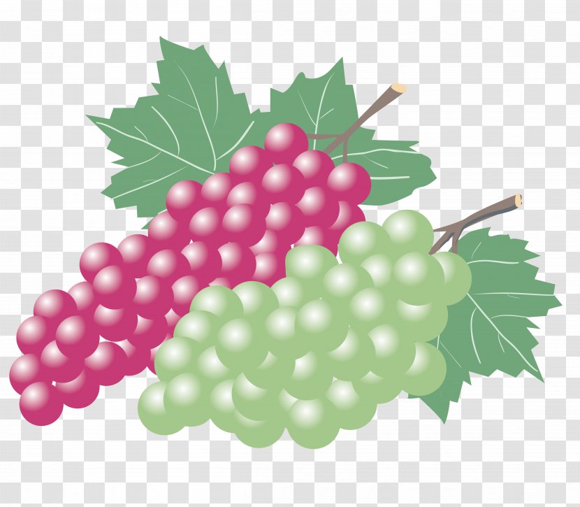Kyoho Grape Wine Zante Currant Seedless Fruit - Painted Red And White Grapes Transparent PNG