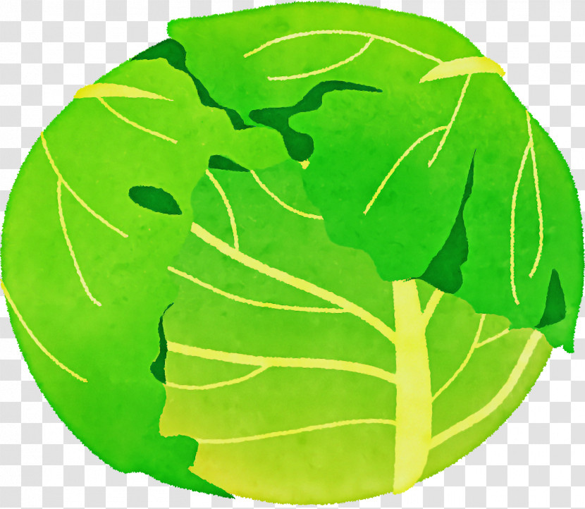 Leaf Vegetable Leaf Alocasia Red Cabbage Vegetable Transparent PNG
