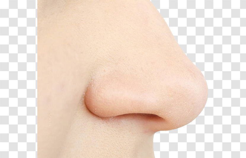 Nose Surgery Skin Facial Cheek - Frame - Human Transparent PNG