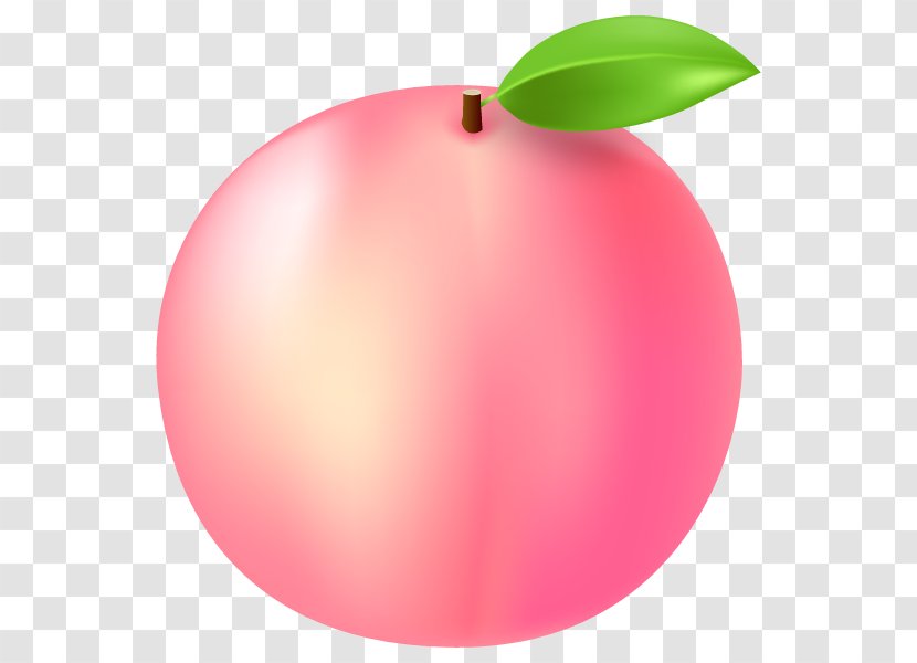Peach Illustration Nectar Image Juice - Apple - Plants Transparent PNG