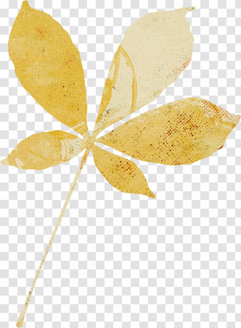 Leaf Clip Art Photography Осенние листья - Petal - Leaves Watercolor Transparent PNG