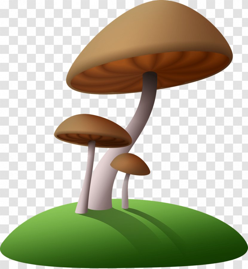 Mushroom Hunting Amanita Muscaria Fungus Chanterelle - Boletus - Fungi Transparent PNG