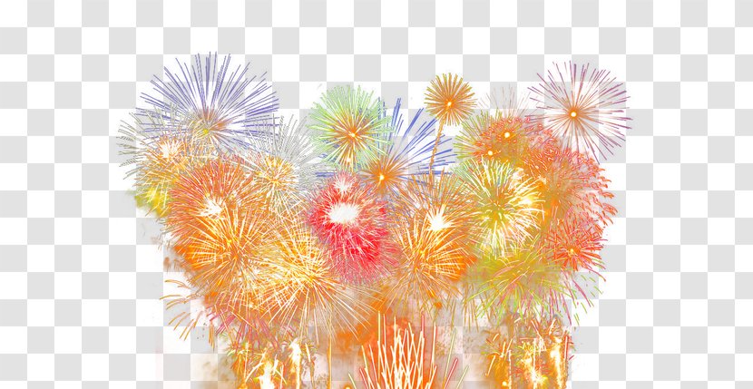Fireworks Google Images Transparent PNG