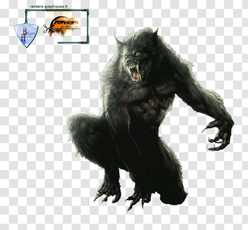 Werewolf Gray Wolf Drawing Clip Art - Van Helsing Transparent PNG