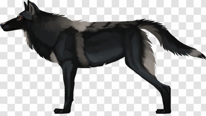 Dog Breed Schipperke Snout - Carnivoran - Stormbreaker Transparent PNG