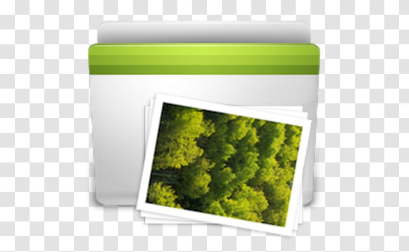 Download - Windows Media Audio - Grass Transparent PNG