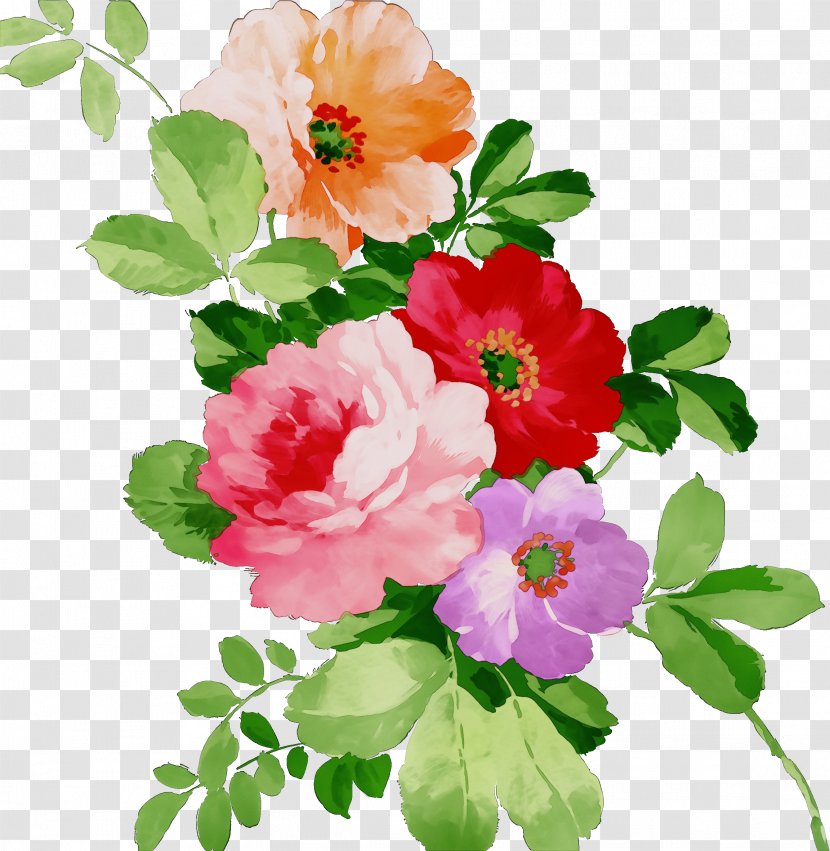 Rose - Branch Family Transparent PNG