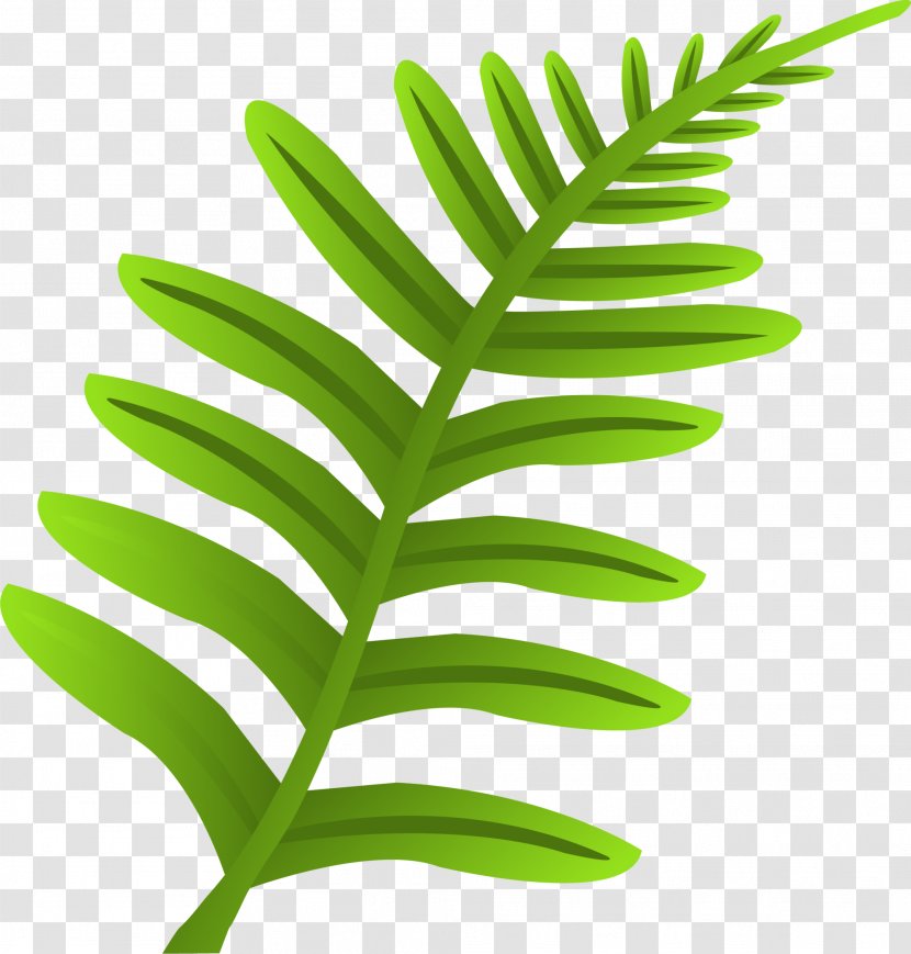 Leaf Plant Stem Font - Green Grass Transparent PNG