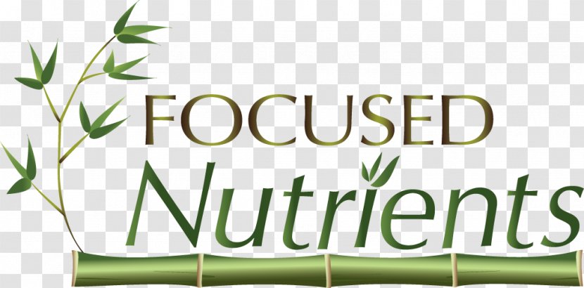Logo Brand Alternative Health Services Medicine Grasses - Plant - Bamboo Transparent PNG