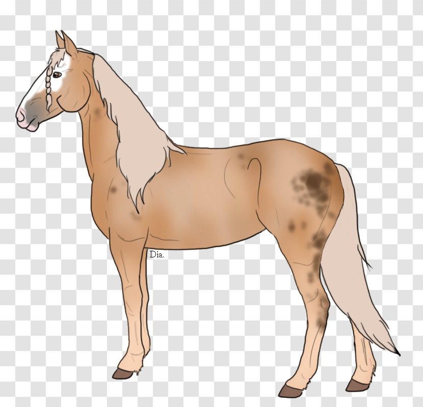 Mule Foal Stallion Mare Colt - Height Rescue Transparent PNG