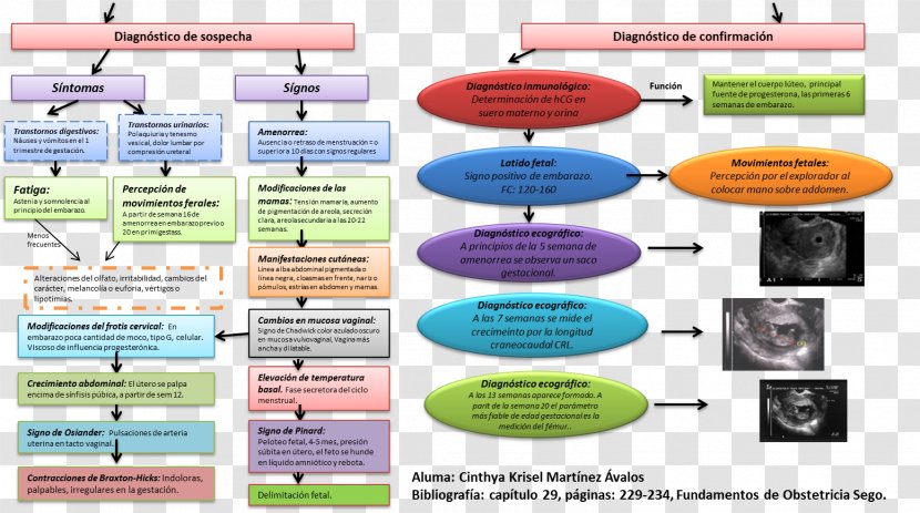 Fundamentos De Obstetrícia Obstetrics And Gynaecology Pregnancy - Personal Identification Number - Embarazo Transparent PNG