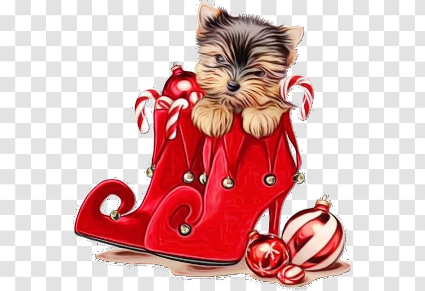 Cat And Dog Cartoon - Footwear Puppy Transparent PNG