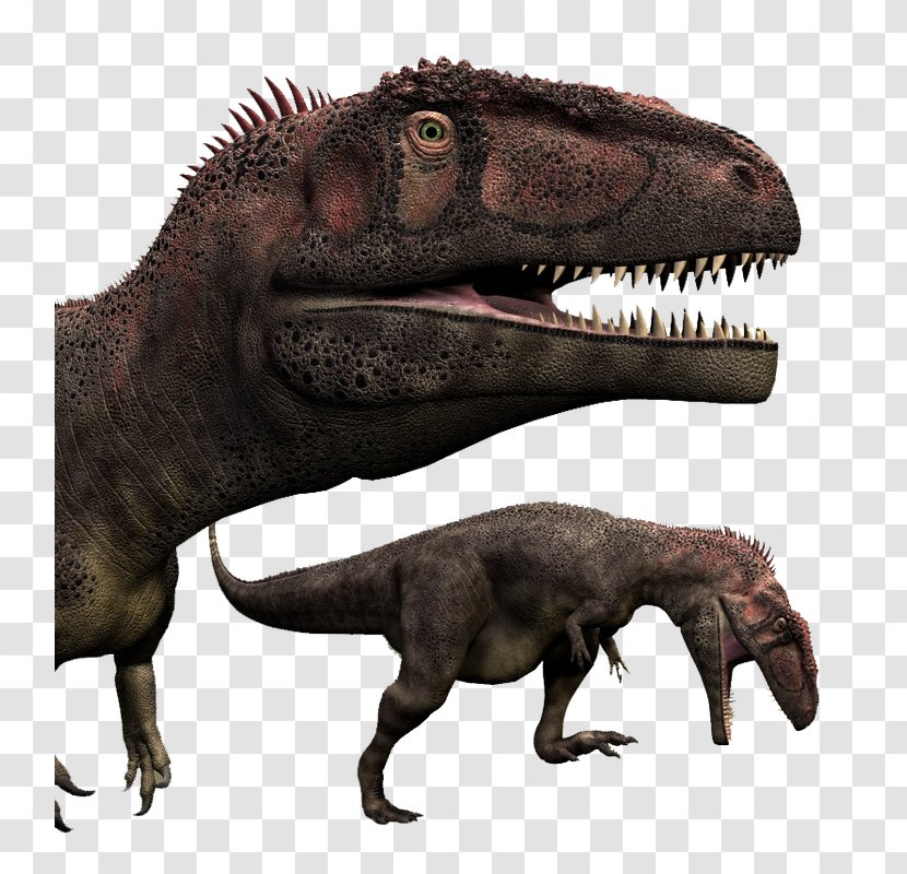 Tyrannosaurus Mapusaurus Acrocanthosaurus Giganotosaurus Dinosaur - Spinosaurus - Serrated Transparent PNG