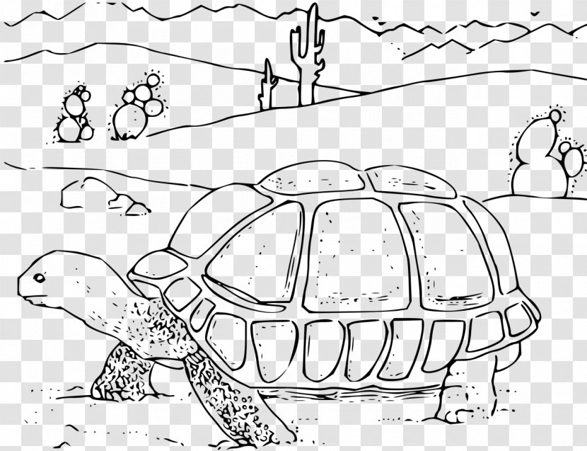 Turtle Drawing Desert Tortoise Clip Art - Hyena Transparent PNG