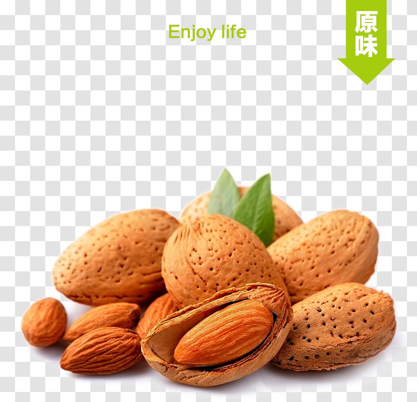 Almond Stuffing Nut Apricot Kernel - Oil - Taobao Main Map Transparent PNG