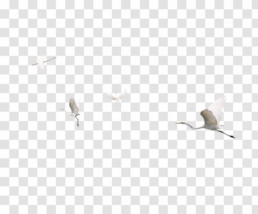 Tile Beak Angle Pattern - Crane Photos Transparent PNG