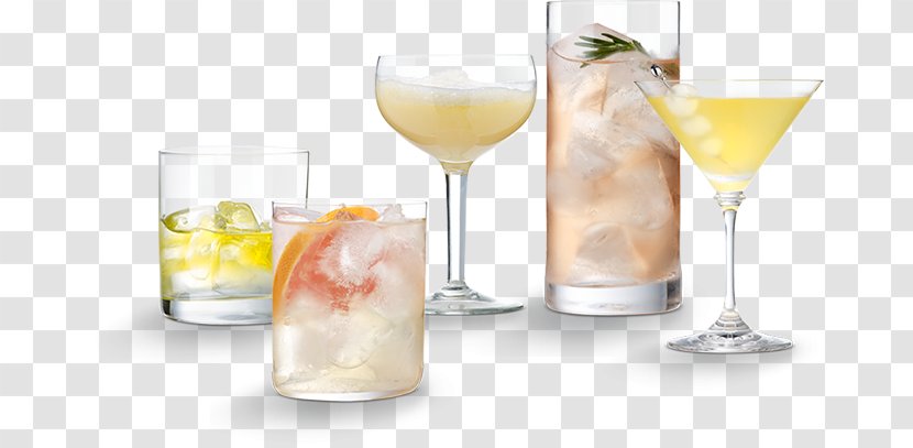 Cocktail Garnish Gin And Tonic Spritzer Non-alcoholic Drink Water - Non Alcoholic Beverage - Spa Landing Page Transparent PNG