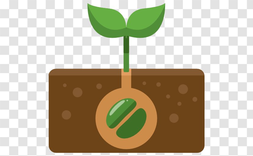 Mung Bean Sprout Cartoon Icon - Google Images - Plant Transparent PNG