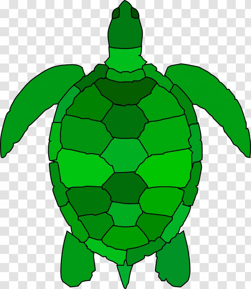Sea Turtle Clip Art Openclipart Free Content - Leaf Transparent PNG