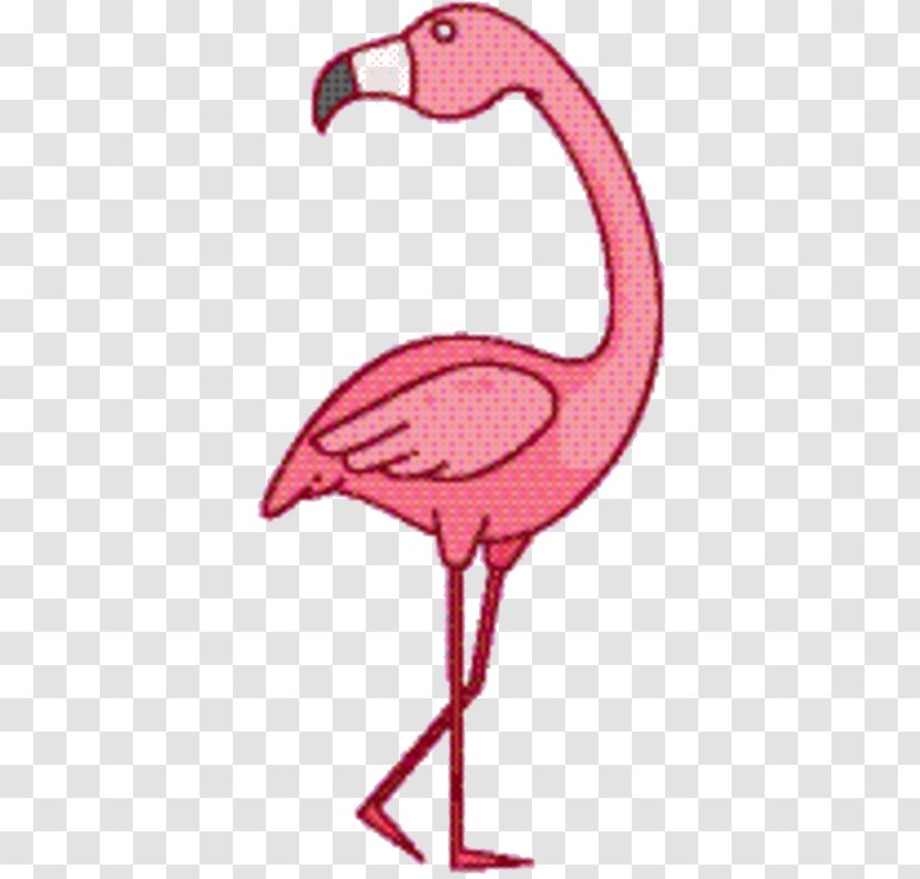 Pink Flamingo - M - Water Bird Transparent PNG