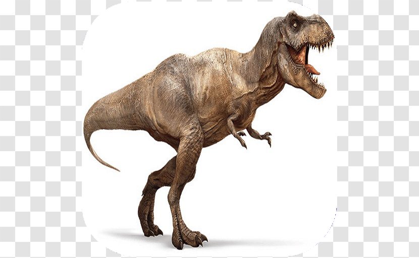 Tyrannosaurus Velociraptor Carnivores: Dinosaur Hunter Late Cretaceous Transparent PNG
