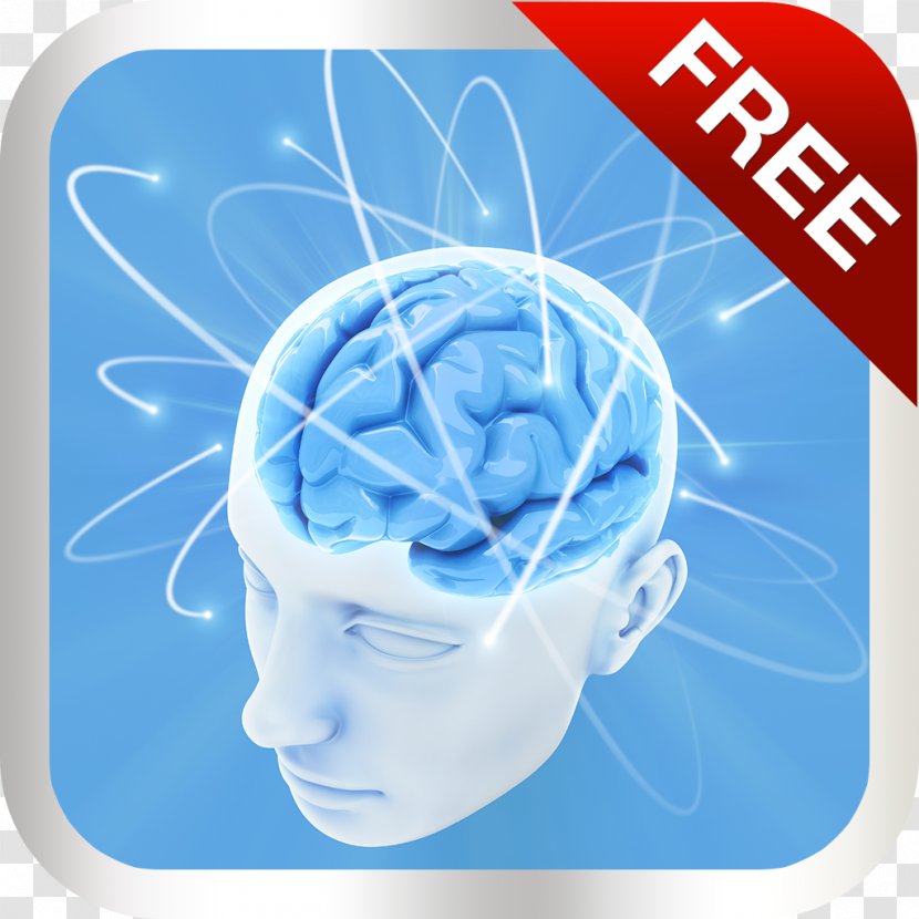 Brain Mind Mental Health Neuroplasticity Executive Functions Transparent PNG