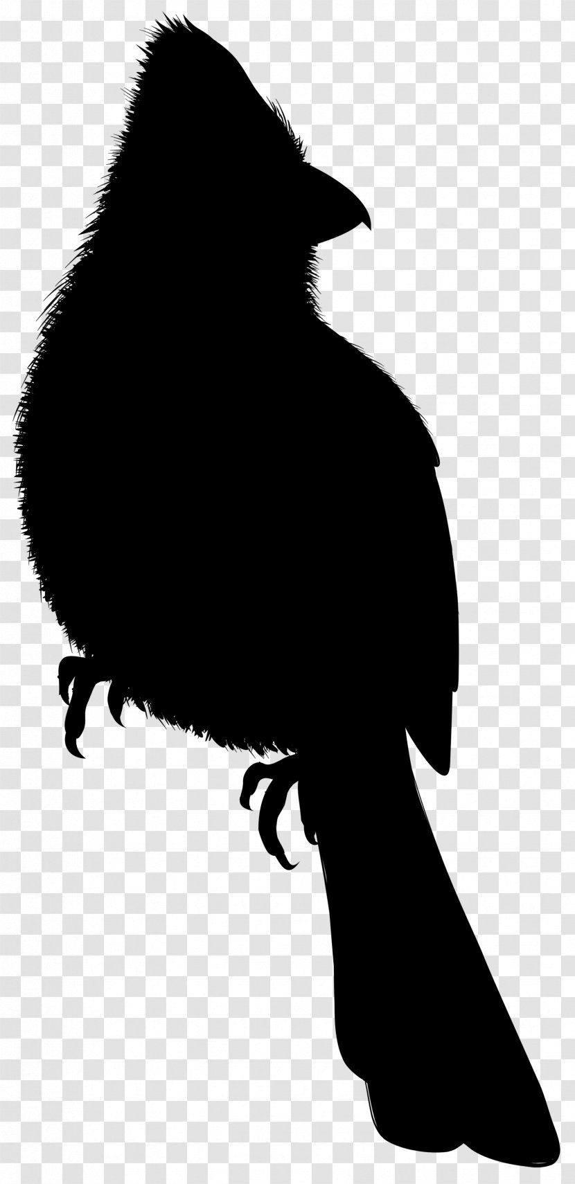 Beak Silhouette Black M Transparent PNG