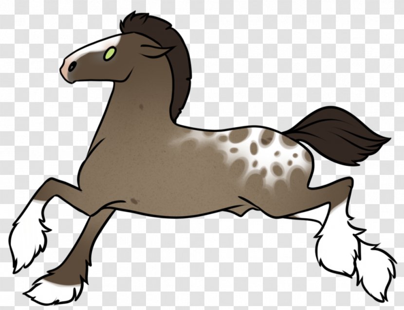 Mule Pony Mustang Foal Stallion - Mane Transparent PNG