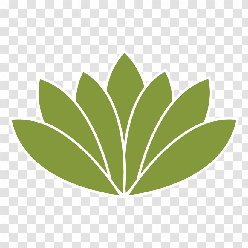 Leaf Green Plant Logo Tree - Flower Transparent PNG