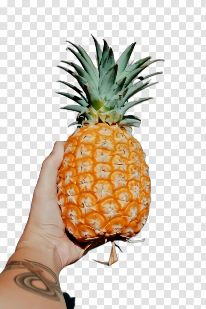 Pineapple - Ananas - Vegan Nutrition Plant Transparent PNG